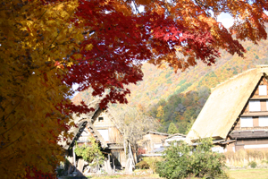 新しく修復された