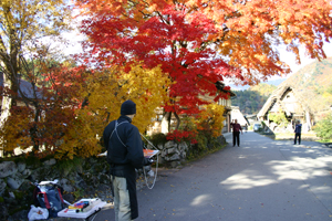本覚寺の前は綺麗です