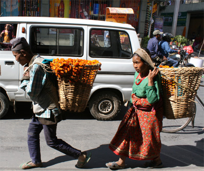 背負子でマラを運ぶ老夫婦