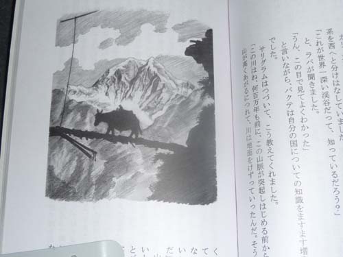 ネパールガエルの冒険 ３