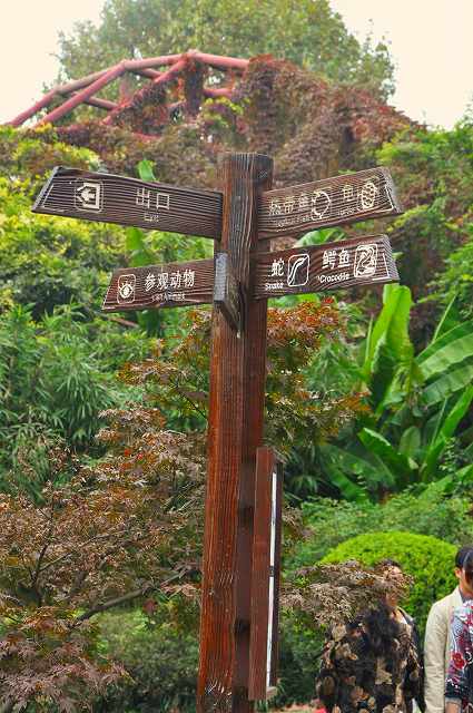 上海動物園08