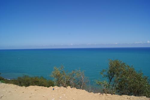 シディブサイド4