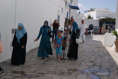 シディブサイド7