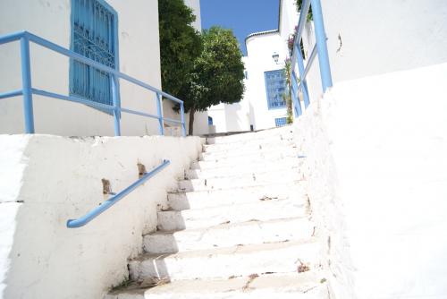 シディブサイド9