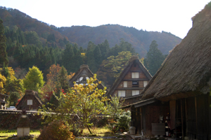 紅葉＆明善寺 郷土資料館