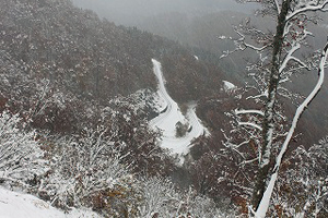 積雪で通行止めの