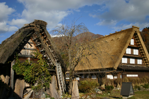  新・旧 合掌の茅葺き屋根