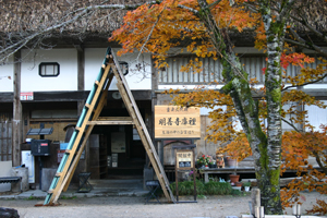 白川郷の合掌家屋で冬の準備 雪囲い