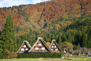 お勧めスポット 