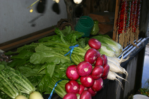 白川郷 赤かぶ洗い