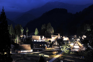 秋じまい（初雪）