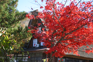 白川郷の紅葉も終わり