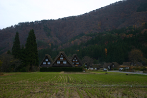 紅葉も終わり冬を待つ合掌造り
