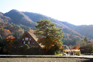 冬を迎える国重文 和田家