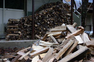 欠かすことのできない