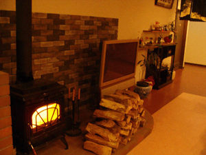 暖炉の炎はなぜかホッとする