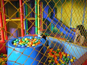 キッズスペース