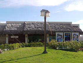 アクティビティー受付