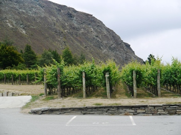 ニュージーランド ワイナリー