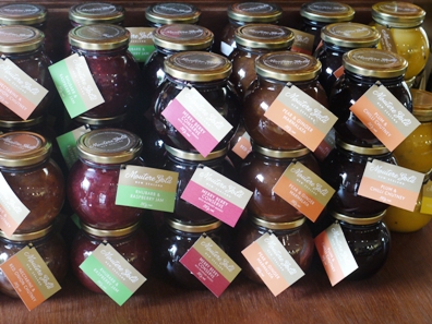 ニュージーランドワイン ワイナリー訪問