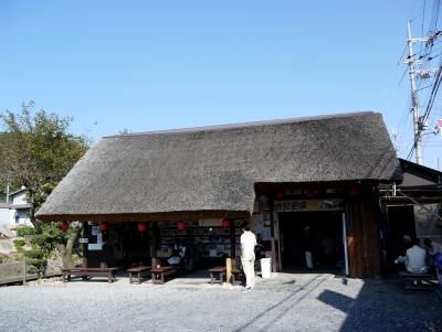 近江八幡-水郷めぐり