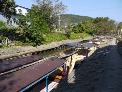 近江八幡-水郷めぐり