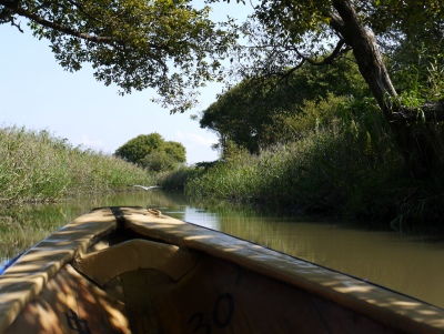 近江八幡-水郷めぐり