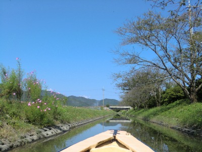 近江八幡-水郷めぐり