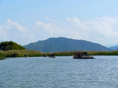 近江八幡-水郷めぐり