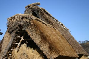 うまく屋根の葺き替えされてます