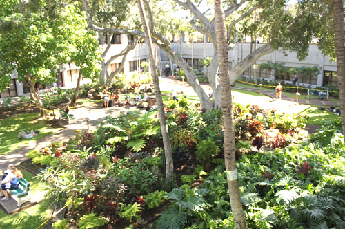 のどかな中庭がありました