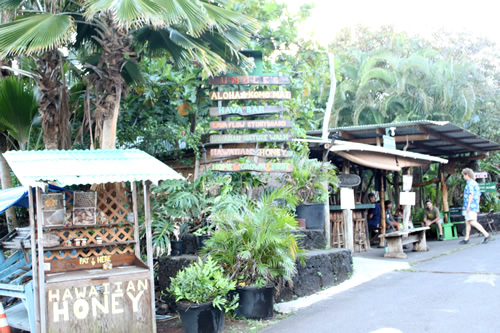 蜂蜜の無人販売所なんかもあったり