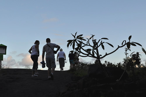 みんなどんどん登っていきます