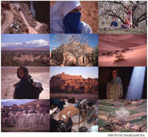 「アーモンド」の故郷紀行