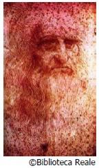 公開されるダ・ヴィンチ自画像