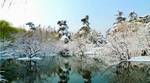 杭州の雪２