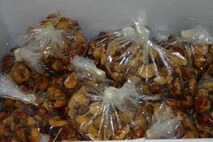 灰汁抜きされた栃の実