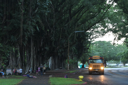 2日目は早起き。スクールバスが走る頃