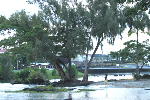 浅瀬で何かしている人を発見