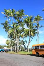 ヒロのダウンタウンは快晴！