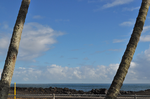 海沿いの町なので駐車場のすぐ向こうも海