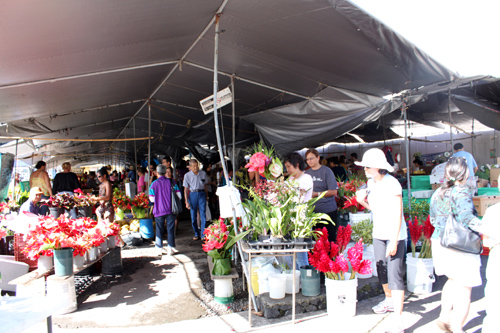 こぢんまりしたマーケットは大賑わい