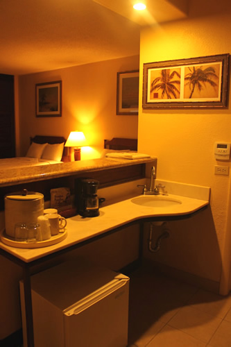 シンク付きのカウンター＆冷蔵庫