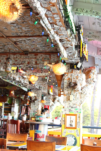 いったい全部で何ドルあるんだろ？？？