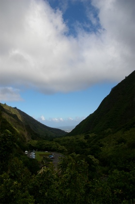 遠くにマスタング