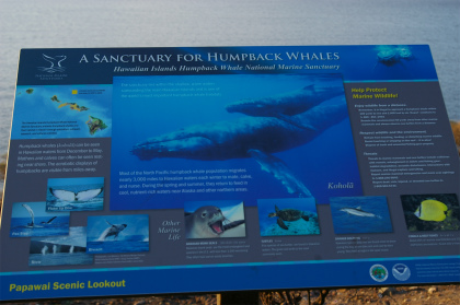 Papawal Scenic Looko