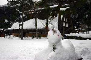 白川郷にウサギ！？