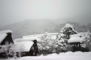 均等に雪がのってます