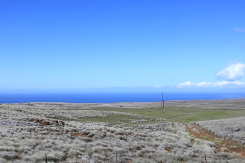 遮るものが何もないので海まで見渡せます
