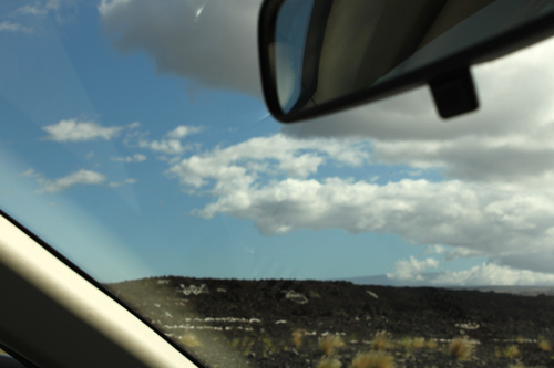 車窓から何か白いものが目に入りました